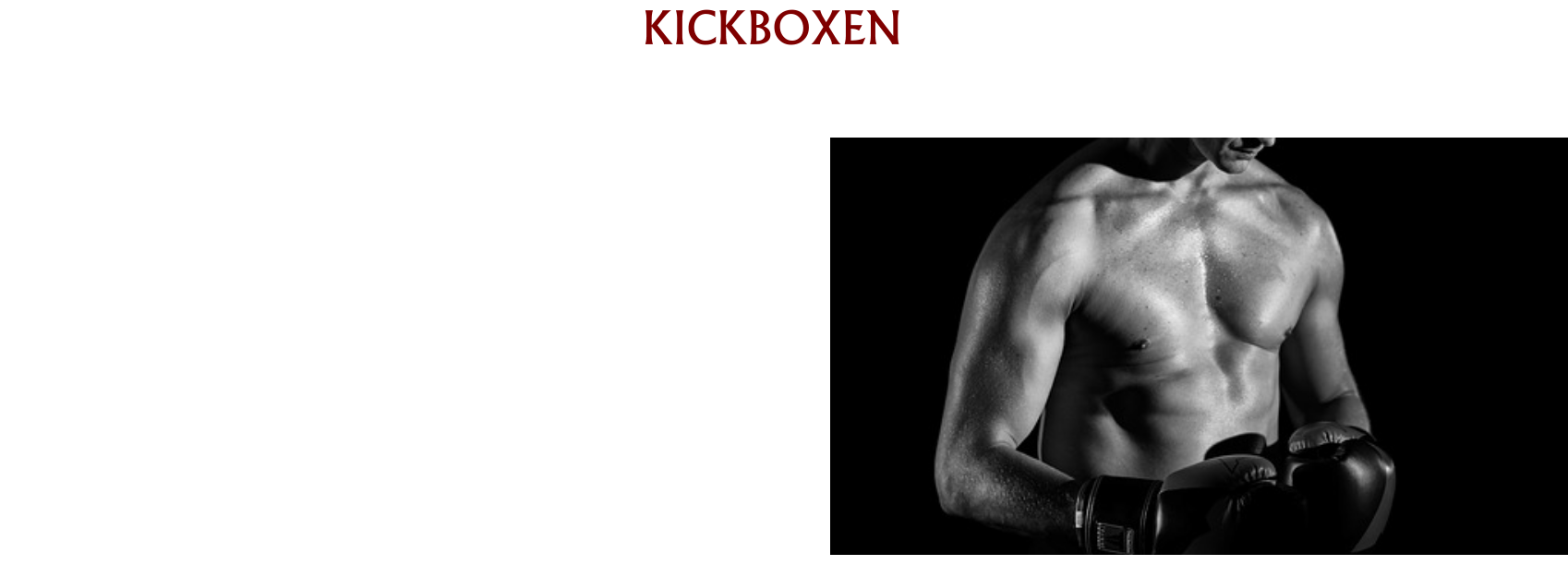 HISTORY KICKBOXEN